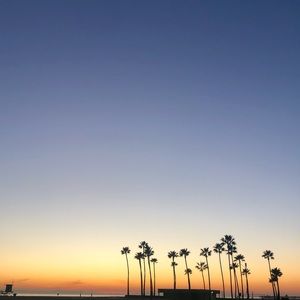 Bundle for charlottehun